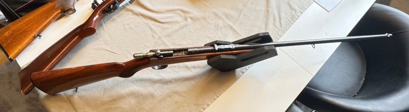 Anschütz 9mm Flobert – stampa 1