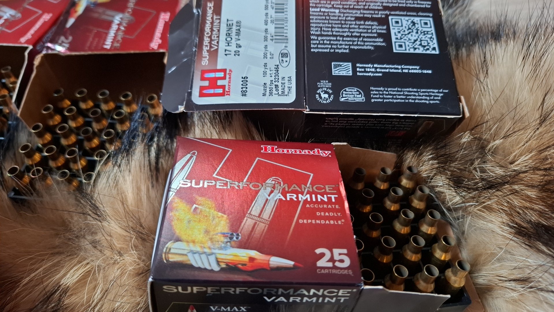 17. Hornet Hülsen 147 Stück – Bild 2