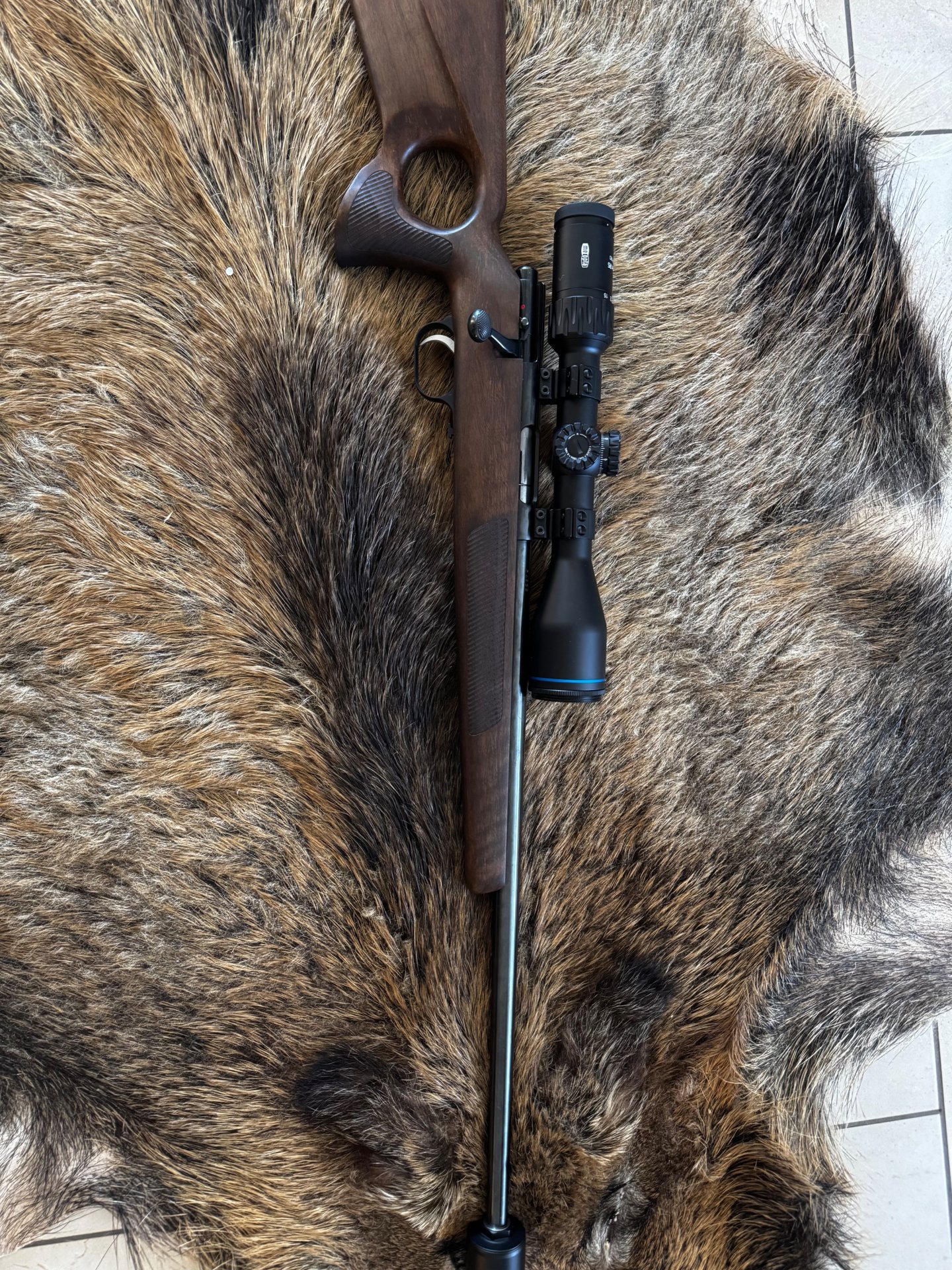 Weihrauch HW 66 17. Hornet Thumbhole/ Hausken MD45 MKII/ Meopta MeoHunter R5 3-15x30 – Bild 3