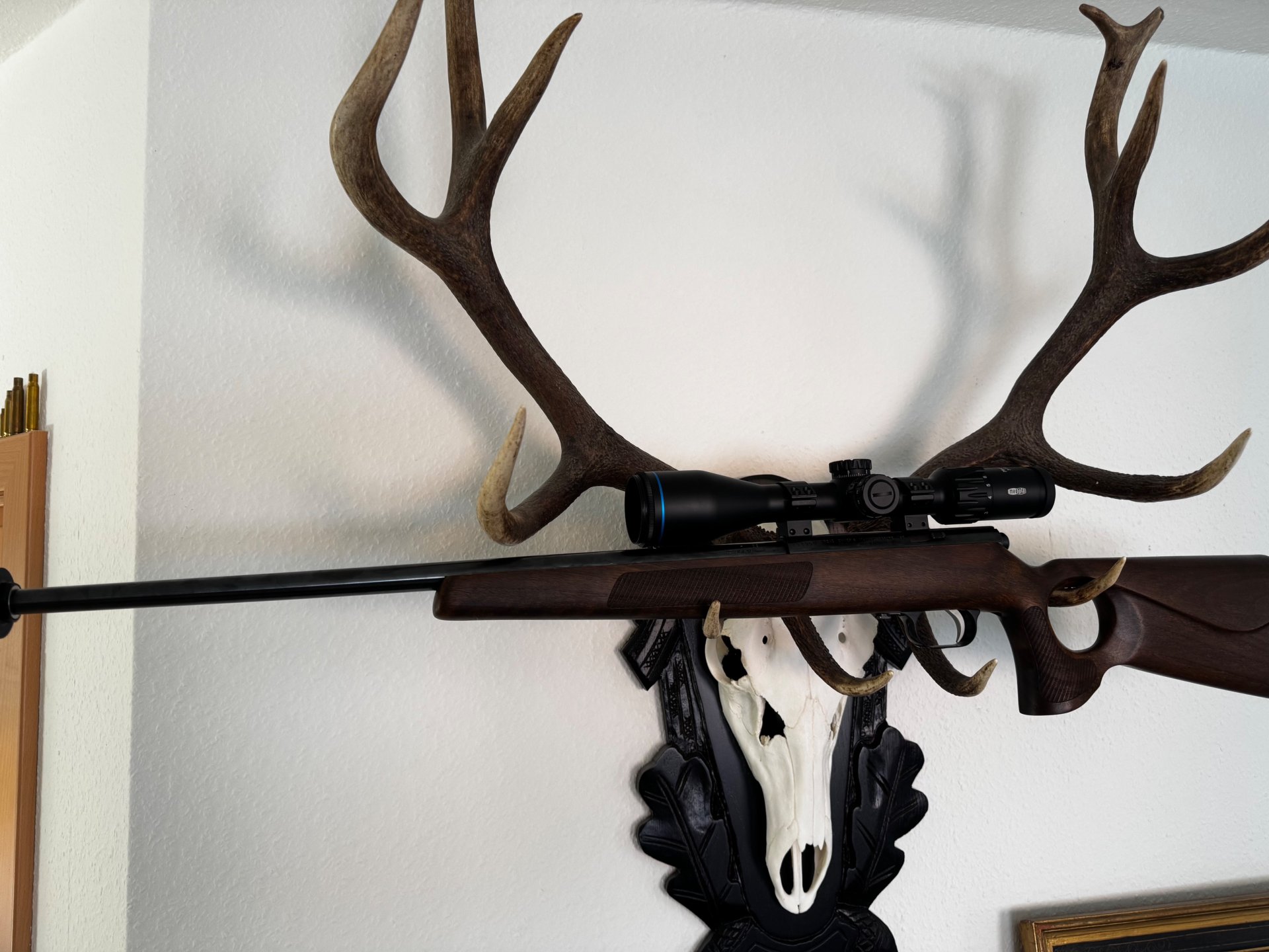 Weihrauch HW 66 17. Hornet Thumbhole/ Hausken MD45 MKII/ Meopta MeoHunter R5 3-15x30 – Bild 1