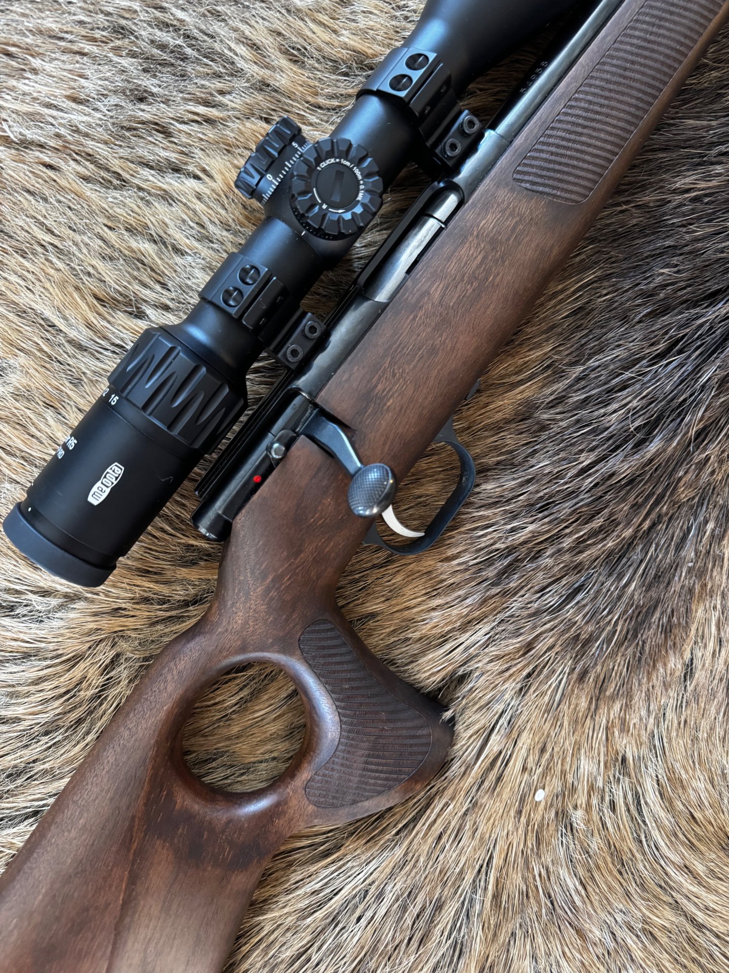 Weihrauch HW 66 17. Hornet Thumbhole/ Hausken MD45 MKII/ Meopta MeoHunter R5 3-15x30 – Bild 2