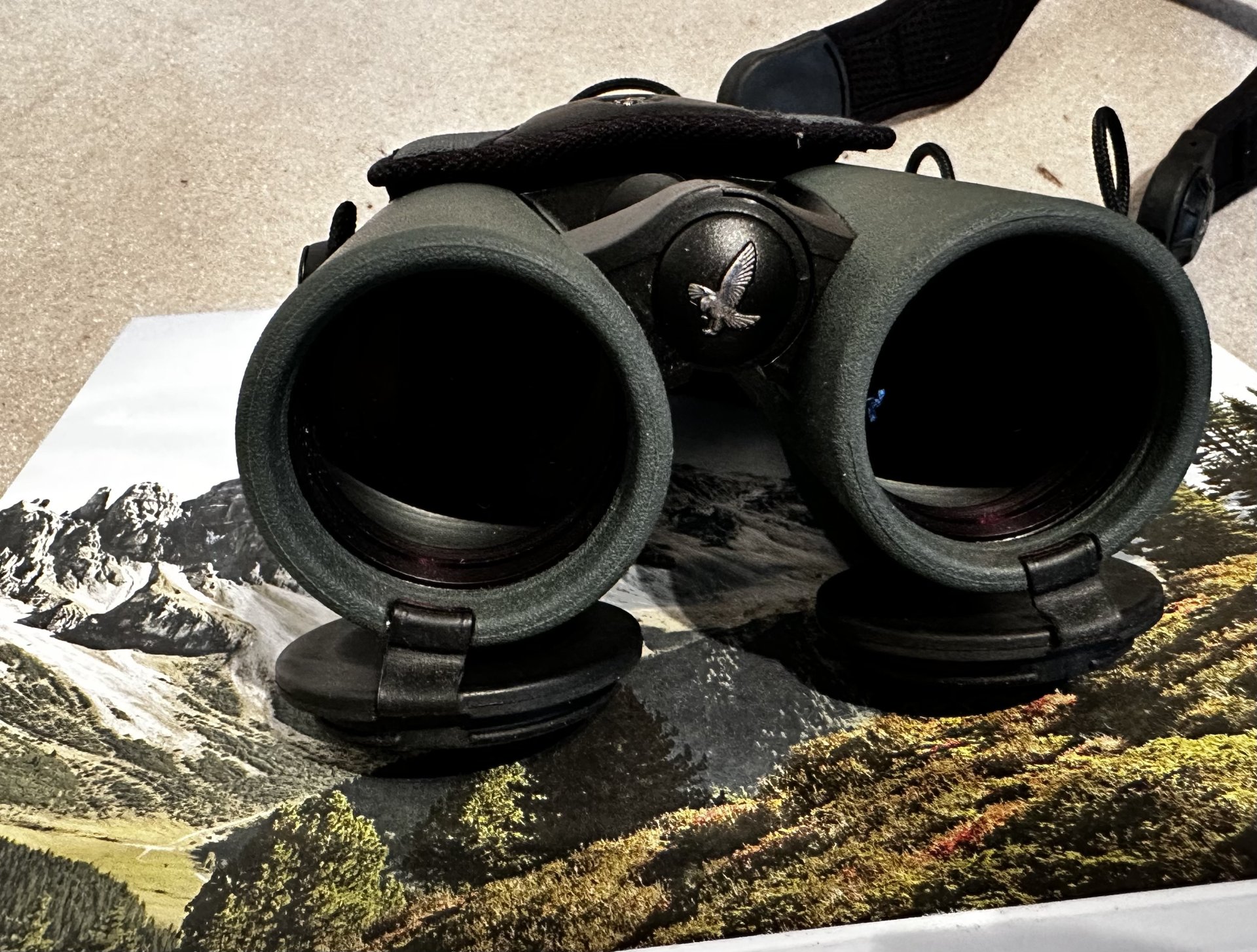Swarovski EL Range 10x42 Fernglas mit Bino Guard – Bild 3
