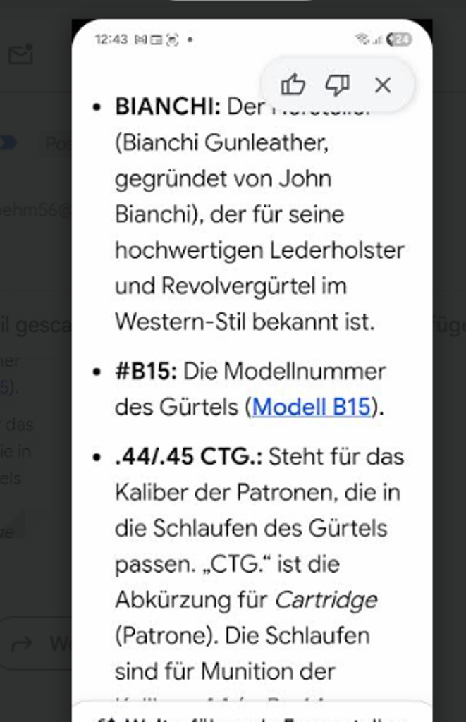 Westernholster mit Patronengurt – Bild 5