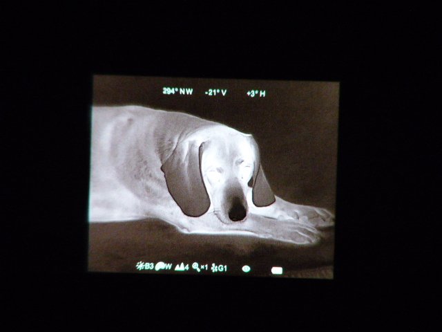Infiray Xeye Clip CH50 Wärmebild Vorsatzgerät – Bild 6