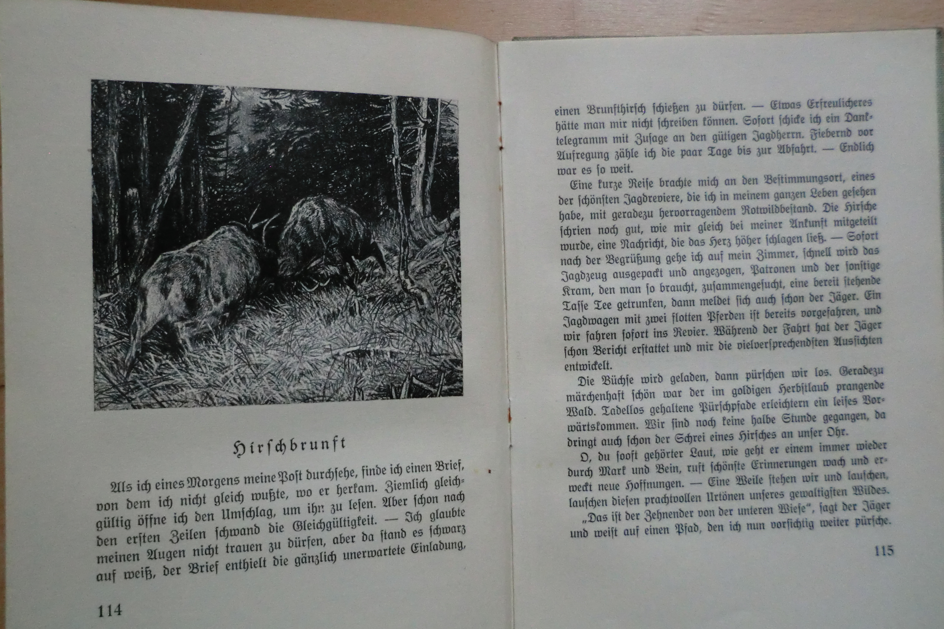 1941 WAS ICH ALS JÄGER ERLEBTE – Bild 2