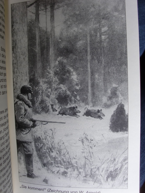 KEILER, BASSEN, HOSENFLICKER – Bild 2