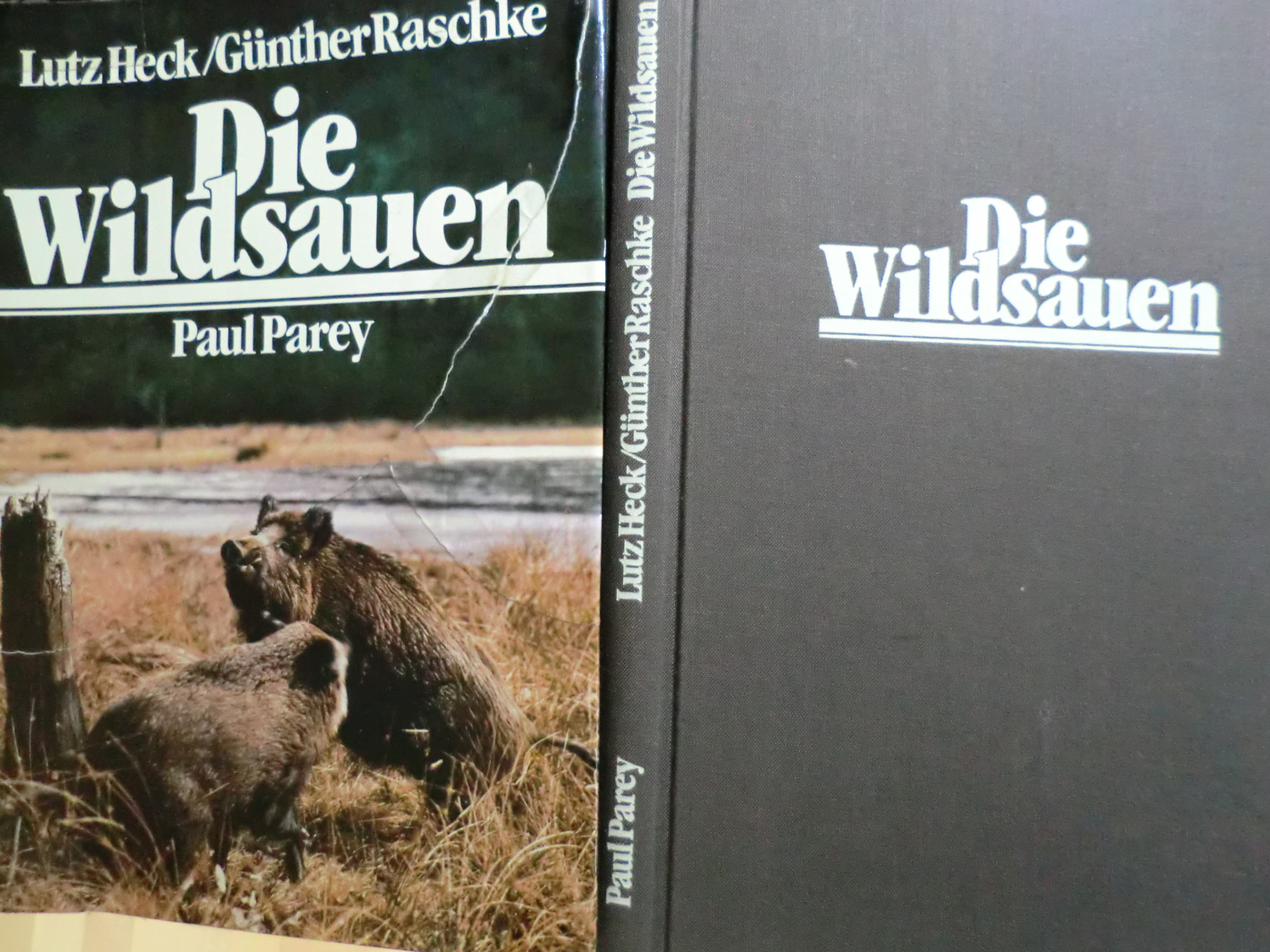 DIE WILDSAUEN - Naturgeschichte, Ökologie, Hege und Jagd – Bild 1