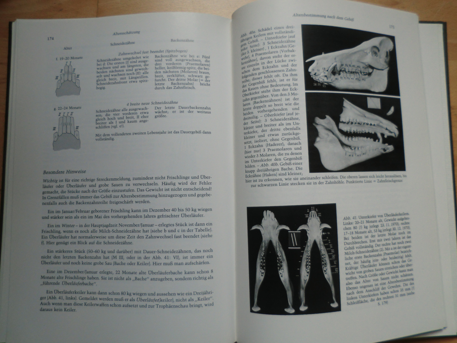 DIE WILDSAUEN - Naturgeschichte, Ökologie, Hege und Jagd – Bild 2