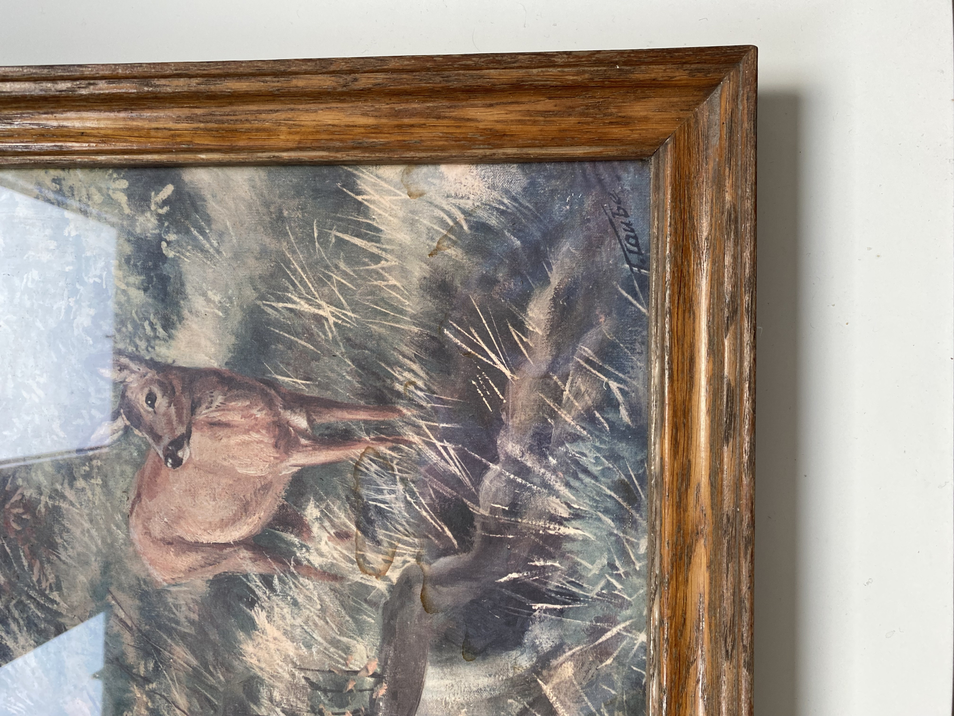 Jagdbild REHBOCK UND RICKE IM UNTERHOLZ antiker Farbdruck gerahmt – Bild 2