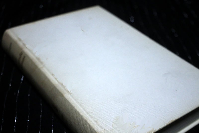 Wie man Freunde gewinnt - Das einzige Buch, das du brauchst um beliebt und einflussreich zu sein Dal – Bild 1