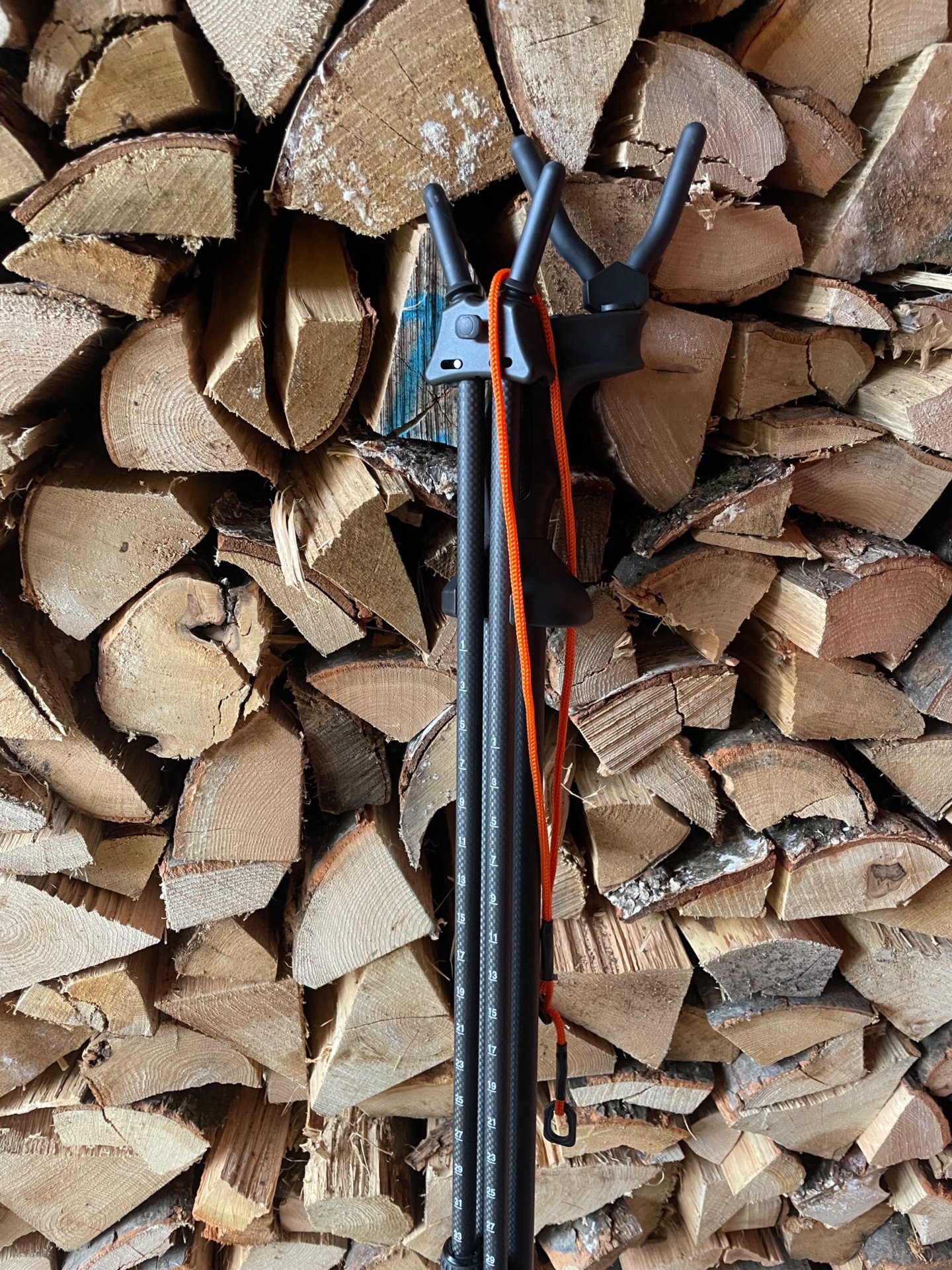 Blaser Zielstock Carbon – Bild 1