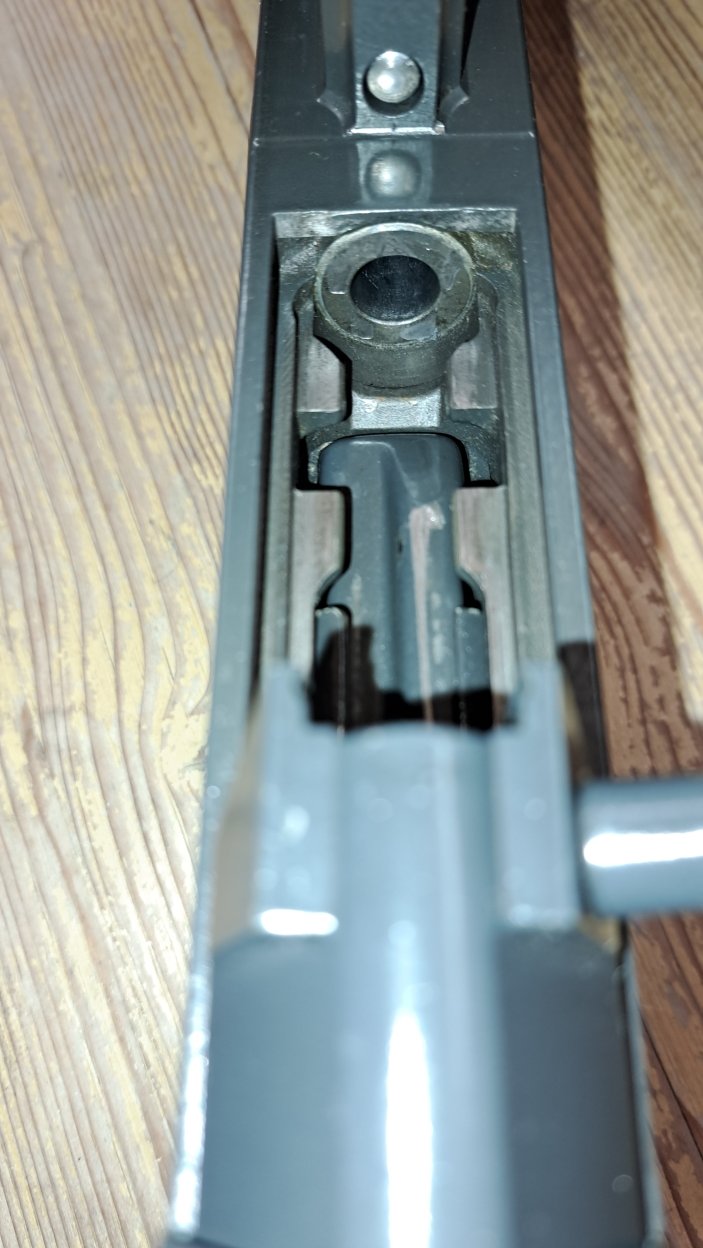 Czech VZ 58 Kal. 7,62x39 IPSC- laufender Keiler-jagdliches Training – Bild 5