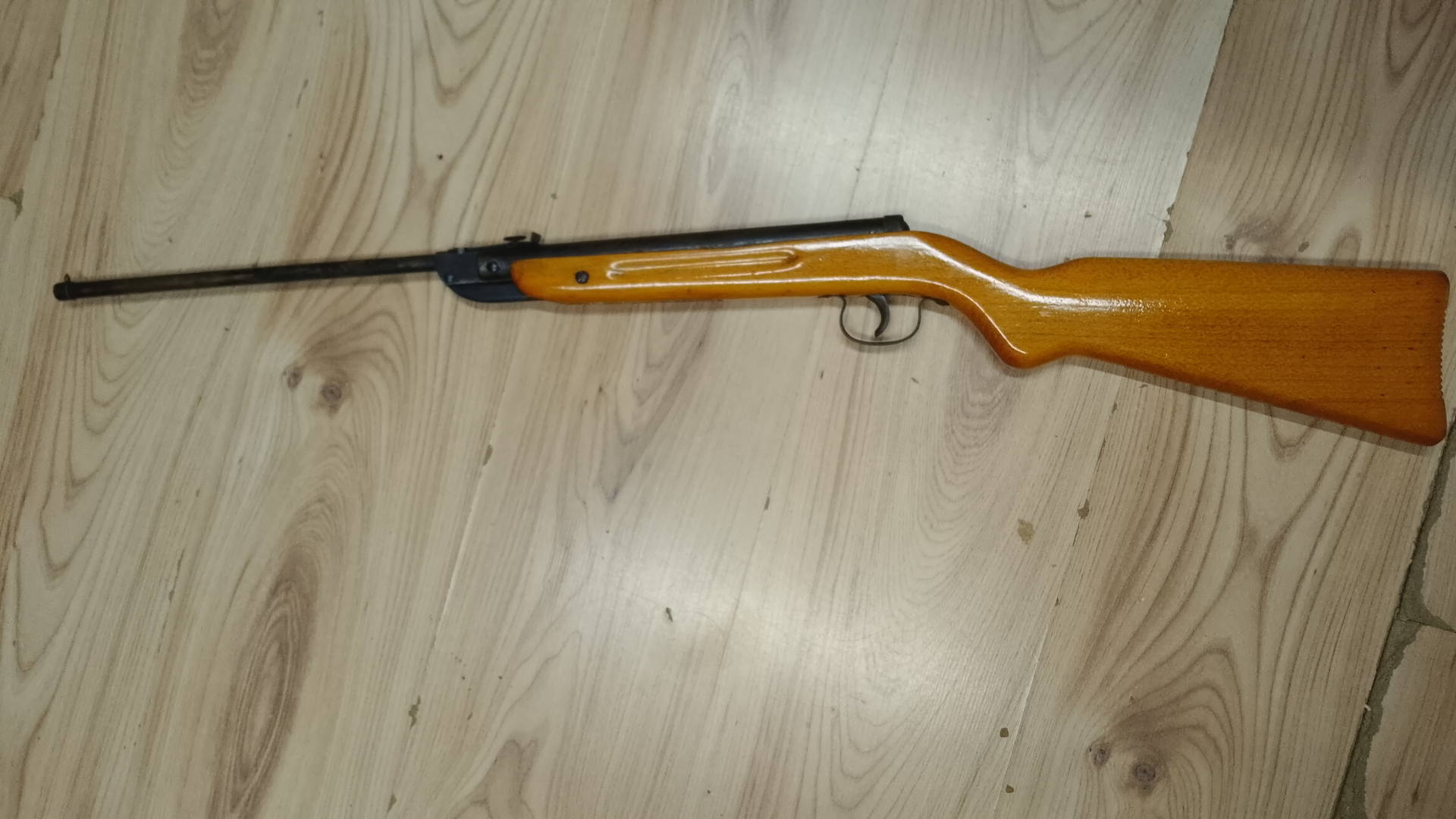 Diana 22 – Bild 1
