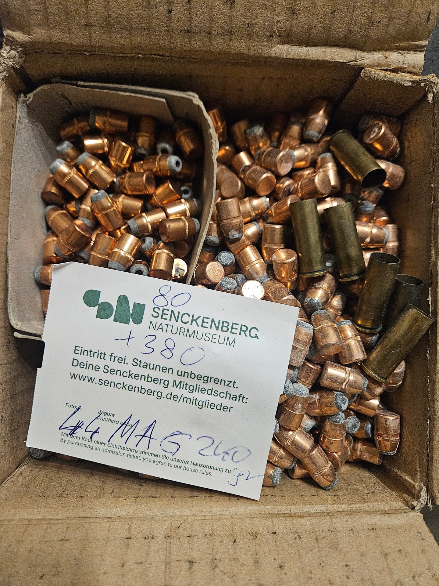 . 44 MAG Sierra Geschoße 240gr – Bild 1