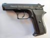Record 2015 cal. 9mm P.A.K.