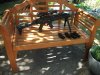 CZ EVO3 . 22 lfB