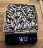 Harte Bleigeschosse .458 Dia mit Gascheck, .45-110, .45-120