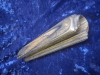 Marlin 1895 Vorderschaft ,Schichtholz grau
