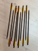 10 Pfeile für Fx airguns Verminator MX2