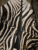 Blaser R93 .416 rem Mag.