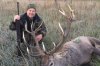 Hirschjagd in der Hauptbrunft!!! Ungarn