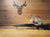 Tikka T3x Lite Roughtech Black 6.5 Creedmoor - 51cm - Waffen Schlemmer Ingolstadt