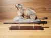 Blaser R8 Wechsellauf 8,5x55 - 47cm - M15x1 - Waffen Schlemmer