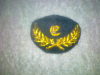 Kepi Abzeichen, CS- Engineer, Civil War, Bürgerkrieg, Uniform, Militaria