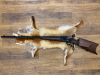 Scheibengewehr Haenel Original Aydt 8,15x46R