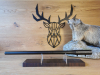 Austauschlauf Blaser R8 8x57IS - 52cm - M17x1 - Semi Weight - Waffen Schlemmer