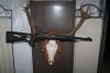 Blaser R8 Links Proffesional Succes Leder 8x57IS 52cm Semi Weight Lauf 17x1 SD Gewinde Nachsuche