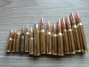 Dekomunition Langwaffen Munitions Sammlung 15 teilig