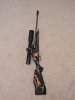 Weatherby Vanguard