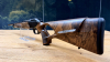 Blaser R8 Success / Holzklasse 4 / Kaliber u. Lauflänge nach Wahl / absolute Gelegenheit