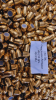 .451/230grs Geschosse Armscor RN FMJ 250 Stk. # SSZ Berka