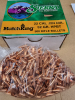 .22/.224/52 grs #1410# Sierra HPBT Geschosse 500 stk.
