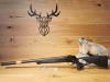 Blaser R8 Ultimate Silence .308Win - 42 cm - Waffen Schlemmer Ingolstadt