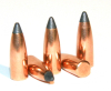 100 Stück S&B | Sellier&Bellot Geschosse #2914 | .224 / 5,7mm - 55grs / 3,60g -SP Teilmantel | Jagd