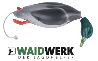 WAIDWERK Apportier-Stockente für die Hundeausbildung | Wasserjagd-arbeit | 45cm - zweiteilig Dummy