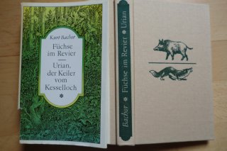 URIAN DER KEILER VOM KESSELLOCH - FÜCHSE IM REVIER