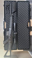 SIG Sauer SG751