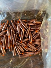 Nosler Ballistic Tip Varmint #39526 224 55 Grain 86 St. neu