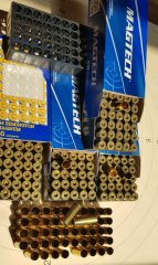 Hülsen .44 Rem. Mag. Nassgsreinigt