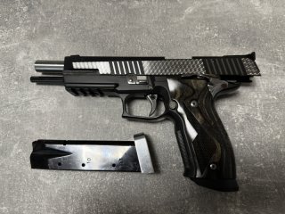 Sig Sauer P226 X-Six Silverdust 1 von 111
