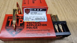 .223/55grs TAP Urban V-Max Hornady No.83276 20 stk. Angebot # SSZ Berka
