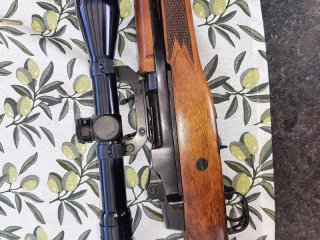 Ruger mini 14 .223 rem
