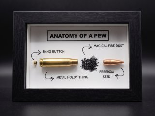 ANATOMY OF A PEW 7,62x51 .308 WIN kein wk2 Schaukasten Geschenk MUNITIONSDISPLAY