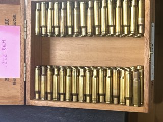 .222 Rem 130 RWS Hülsen