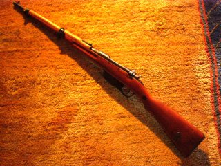 Steyr M95 8x56R Einzellader?