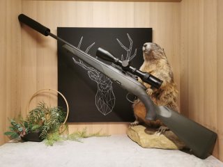 Steyr Mannlicher SM12 SX Goiserer .308Win - Ranger 8 2-16x50 - Roedale 50K+ - Waffen Schlemmer